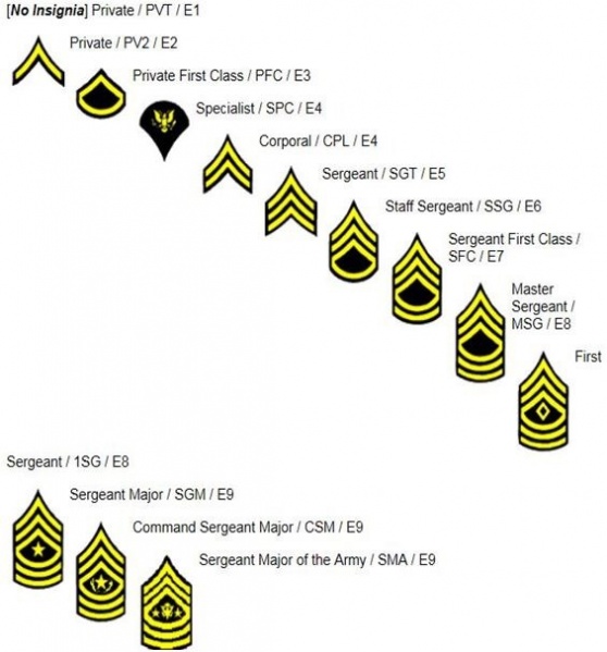 檔案:軍階表.jpg